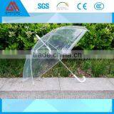 clear tpu umbrella made of clear polyurethane waterproof tpu film