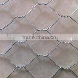 Hexagonal Wire Mesh