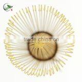 Best Selling Premium Handmade Matcha Bamboo Brooms 11cm Height thumbnail-5