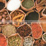 Sunita Exports company overview - view 1 thumbnail