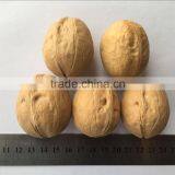 Wholesale Chinese Walnut Kernel With Marketing Price for Eating thumbnail-5
