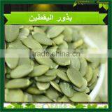 Pumpkin Seeds Kernel Grade AA High Quality thumbnail-5