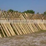 Better Bamboo bamboo pole origin Vietnam