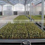 Low Cost Hydroponic Greenhouses System thumbnail-2