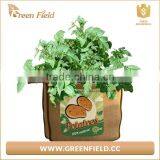 Jute Tomato Home Yard Vegetable Grow Bag Round Planter Burlap Grow Bag thumbnail-2