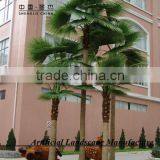 Factory Direct High Quality Palm Tree With Cheap Price Palm Tree for Shopping Mall Decoration thumbnail-4