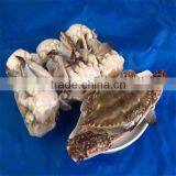 Frozen Crab Dishes thumbnail-1