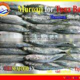 FROZEN W/R MUROAJI FOR TUNA BAIT thumbnail-1