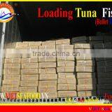 LOADING WHOLE ROUND BULLET TUNA thumbnail-1
