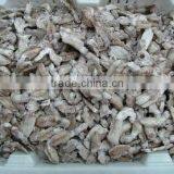 Chinese Squid thumbnail-1