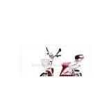 Electric Bicycle thumbnail-1