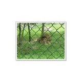 sell chain link fencing