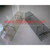 Hot Galvanizing Crab Cage Trap thumbnail-3