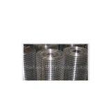 Stainless Welded Mesh