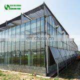 The Cheapest Hot Sale And Easily Installed Multispan Glass Greenhouse thumbnail-4