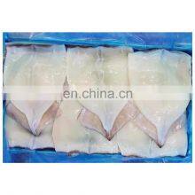 BQF Frozen Clean Squid Fillet Skin on Wing on