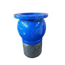 JIS/ANSI/DIN Foot Valve PN16 Cast Iron GGG50 Ductile Iron Flange Stainless Steel Filter Strainer Water Pump thumbnail-2