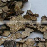 High Quality Truffle Black Truffles With Market Prices for Mushroom thumbnail-2