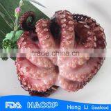 Fishing Octopus for Sale thumbnail-5