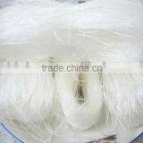 Green Bean Vermicelli thumbnail-6