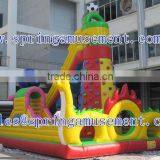 Climbing Inflatable Amusement Park SP-FC008