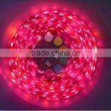 Red Color Led Light Strip thumbnail-1