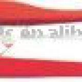 Lihgt and Handly Pipe Cutter