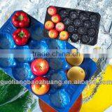 Fruit Packing Tray thumbnail-1