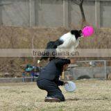 Outside Sports Frisbee Disc Golf Dog Flying Disc