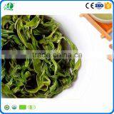 Best Green Tea Brands as Healthy Organic Green Tea thumbnail-3