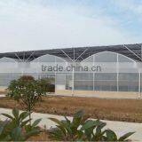 Plastic Film Greenhouse Polyethylene Film Multi Span Agriculture Greenhouse thumbnail-2