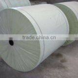 Polyester Mat for Waterproof Membrane