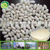 GMP Supply White Kidney Bean Protein Powder thumbnail-1