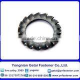 Stainless Steel External Teeth Serrated Lock Washers DIN6798 GB862.2 thumbnail-3