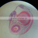 Indonesia Bespoke Hot Sale School Using Prepared Microslide Set