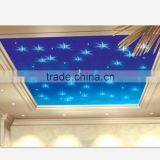 2015 New Design Fibre Optic Stream Shower Light thumbnail-3