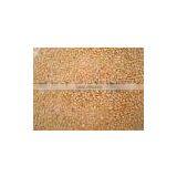 Sesame Seed thumbnail-1