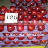 New Crop Red Apple /Huaniu Apple (88/100/113/125) thumbnail-1