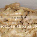 Chinese Dry Ginger (150g) thumbnail-1