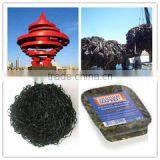 Qingdao Hilda-Jingyi Trading Co., Ltd. company overview - view 1 thumbnail