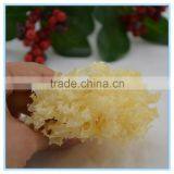Chinese Snow Fungus Mushroom thumbnail-3