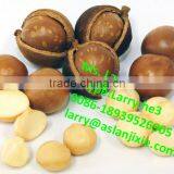 Australian Nut Desheller/Australian Nut Sheller/Australian Nut Deshelling Machine thumbnail-6