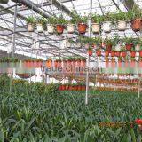 Green House For Agriculture Ventilation thumbnail-4