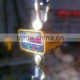 10 Ton Hoist Scale