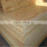 Furniture Grade WBP Glue OSB Oriented Strand Board thumbnail-4