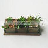 Artificial Plastic Mini Succulents Plants for Home Decoration thumbnail-4