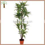 Artificial Variegated Plant for Indoor Decoration thumbnail-1