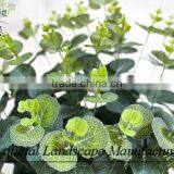 Artificial Eucalyptus Grass Bouquet for Home Decoration thumbnail-5