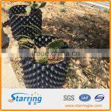 Root Control Barriers thumbnail-1