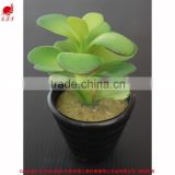 Potted artificial mini succulents